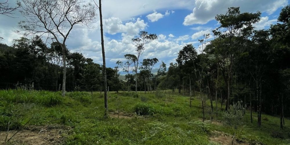 8e1b4845-c74b-45c9-9350-daa04c0aaaf0