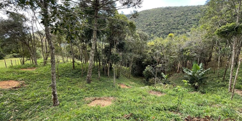 8e5c2bc7-d80f-4453-89fc-7076126dd447