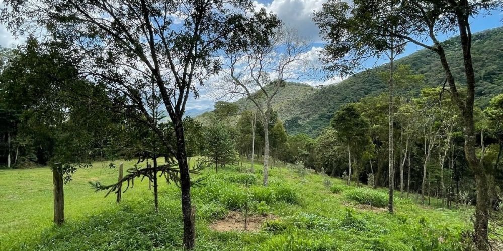 8f22408d-aa83-4ded-be15-cac3245f66c8