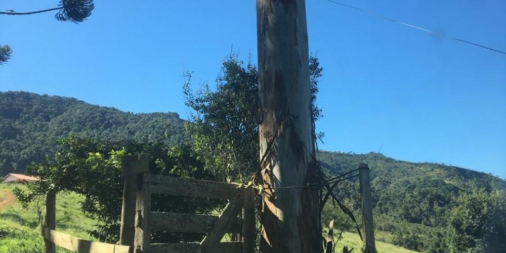 8f59dd0f-0a6b-4da1-9791-8e2dda064832