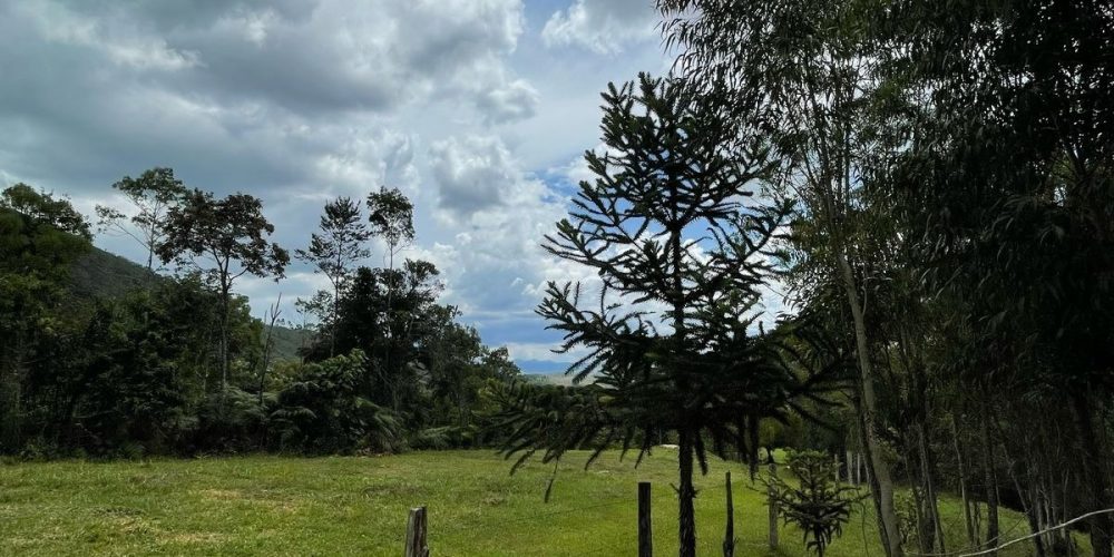 929b11dc-d174-4af7-8662-40427720e2a9