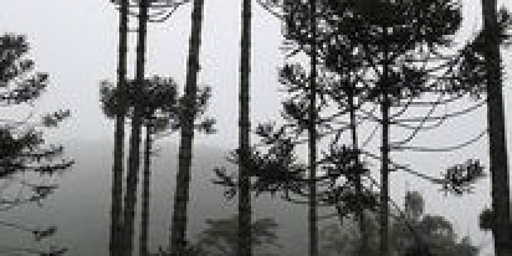 935ec236-2b21-4080-a799-7f8f799e4815