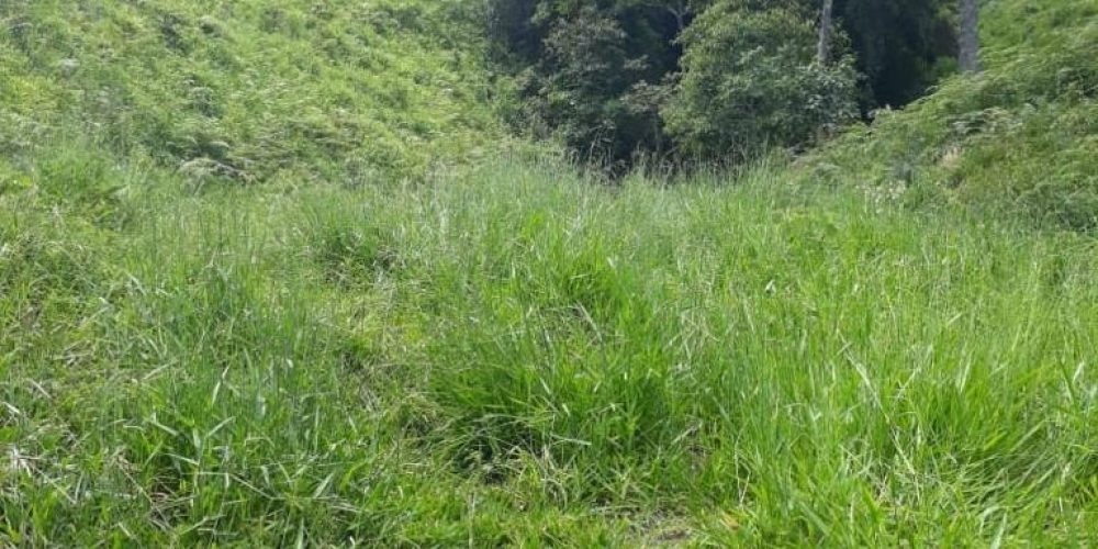 93654e59-eaf2-4ee9-b3ff-f3a0aec482d2