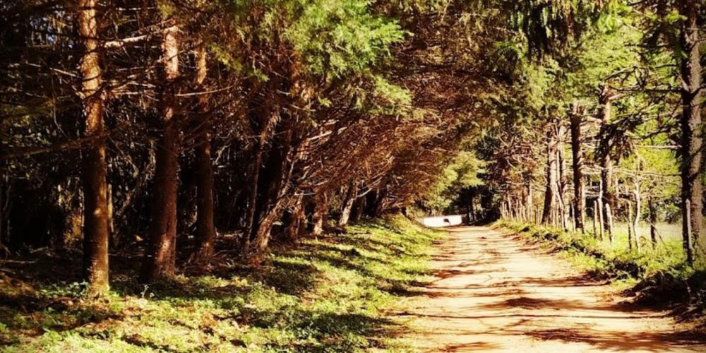 94f9cec5-11d6-4987-a2f3-154a4ca75f6f