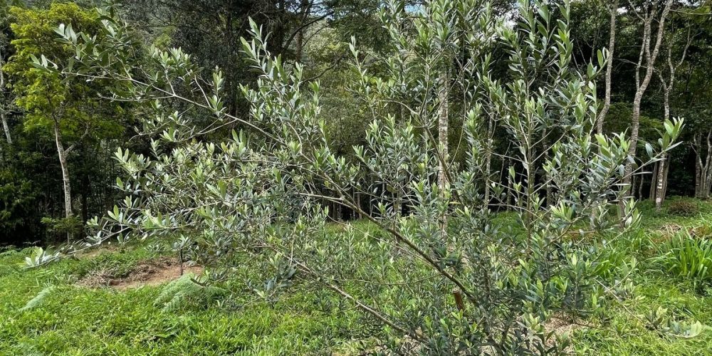 952e7310-2023-47bc-b83d-75840949d2cf