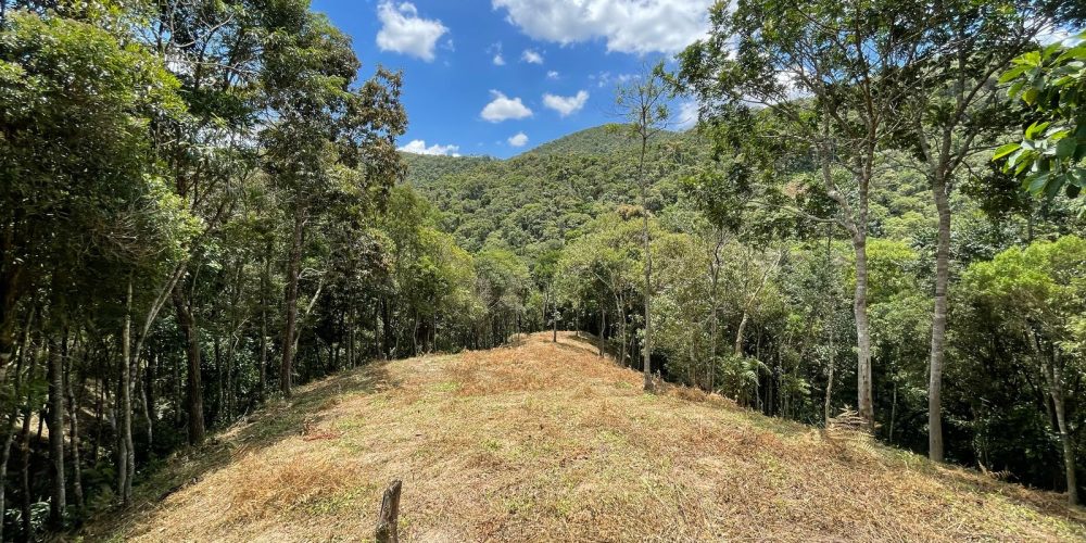 97d53cb5-9e18-4ee3-9402-9aaa2d2c8f29