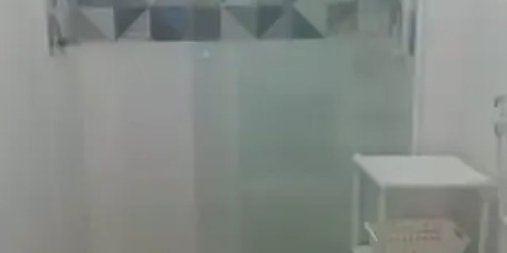 984afb21-8b90-4cd0-ab70-ad52a6c9ba52