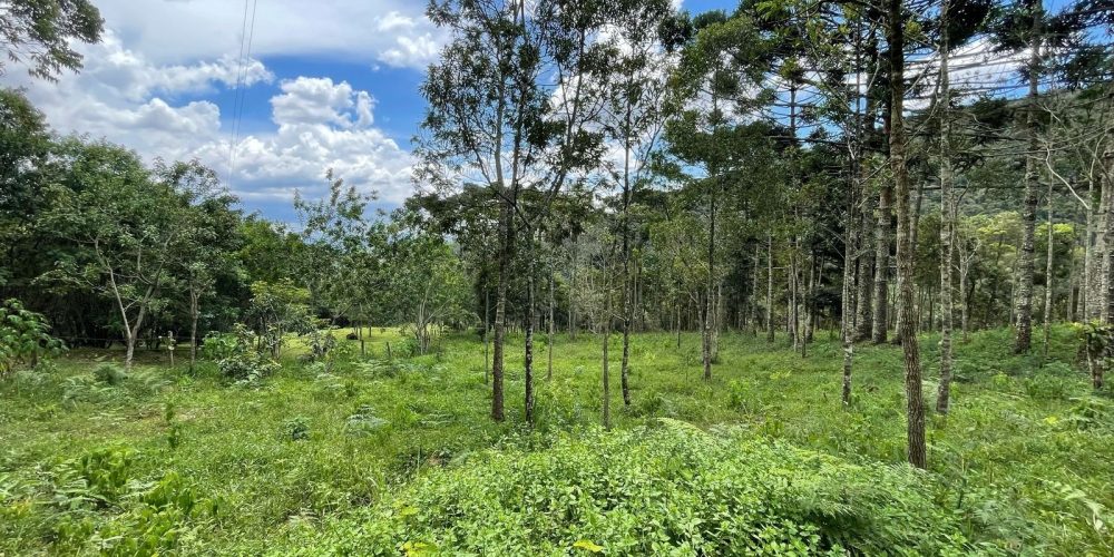 98b62e2c-04c4-4c1d-b60f-f7dc29dd27d8