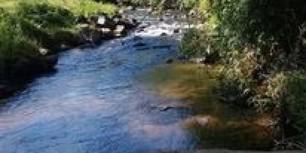 9bb926ae-c476-4508-98e8-94a34e19e5a8