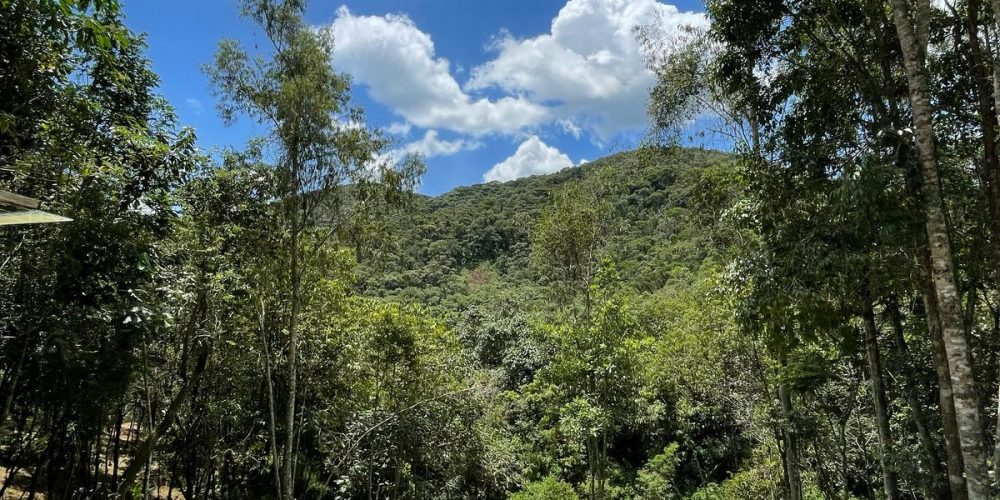 9bd604a3-2a7a-4995-b512-fb8c68b958b5