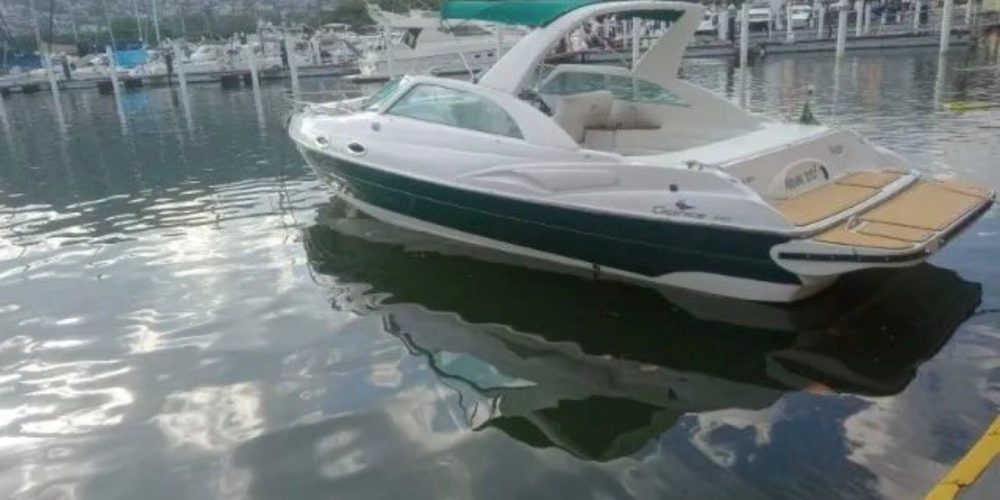 WhatsApp Image 2026-01-26 at 20.03.33 (1)