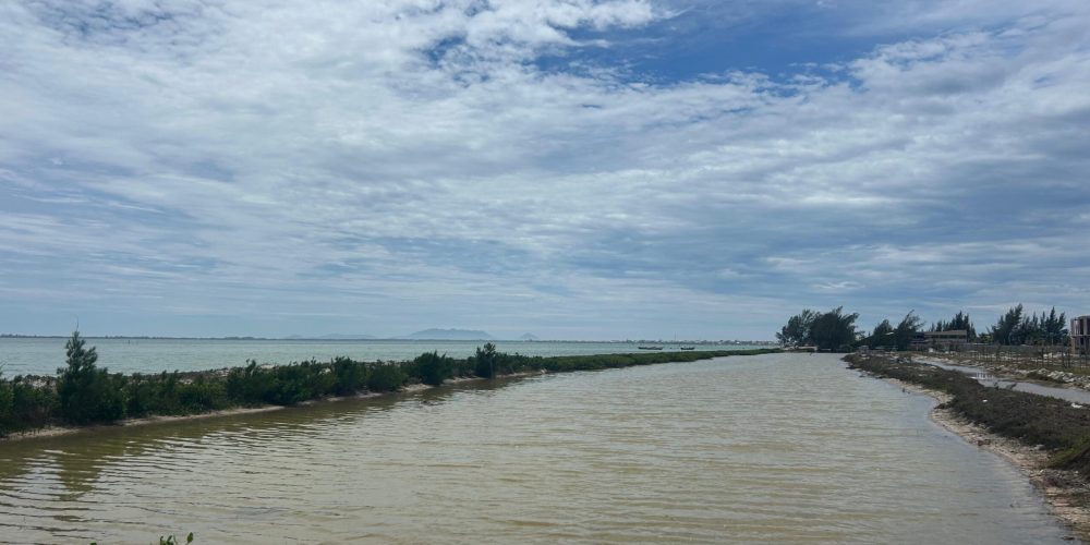 WhatsApp Image 2026-02-09 at 18.18.29 (3)