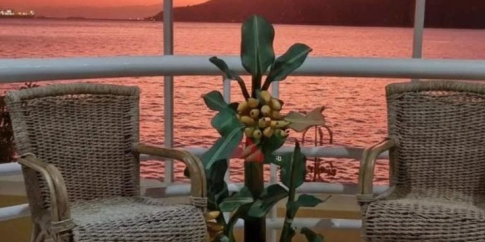 a015e458-9b39-4190-8c79-672a1456eb7c