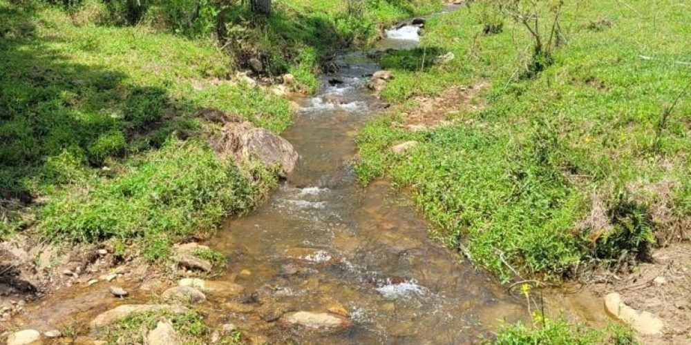 a51e9491-0412-4fd7-aeef-b81c9b2df6a4