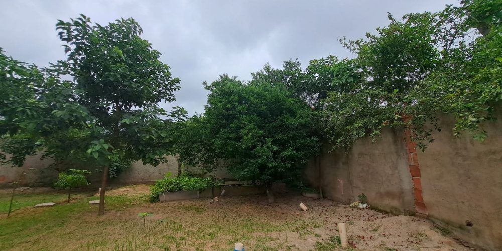 a86dbe8f-ad90-48aa-a090-ff4e3d9e26d2