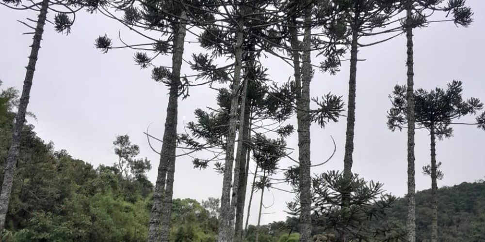 a88413d9-2ddf-416c-a576-fafd927f69d3