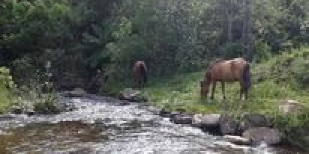 aa156604-4032-4693-b5bc-2b6e8b7fd554