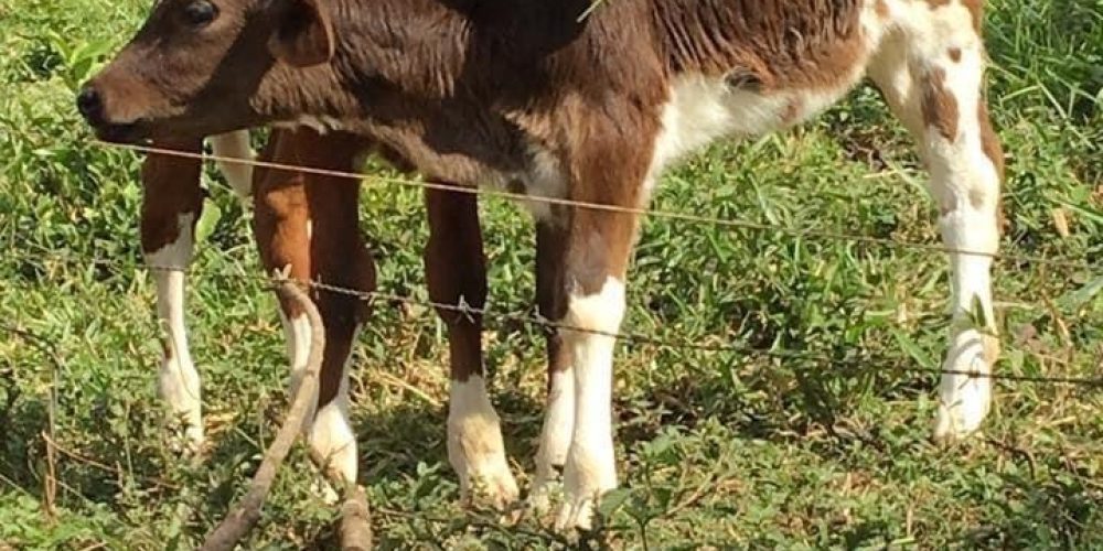 ac5c8f52-37b2-4071-b44e-39e3ac3039ab