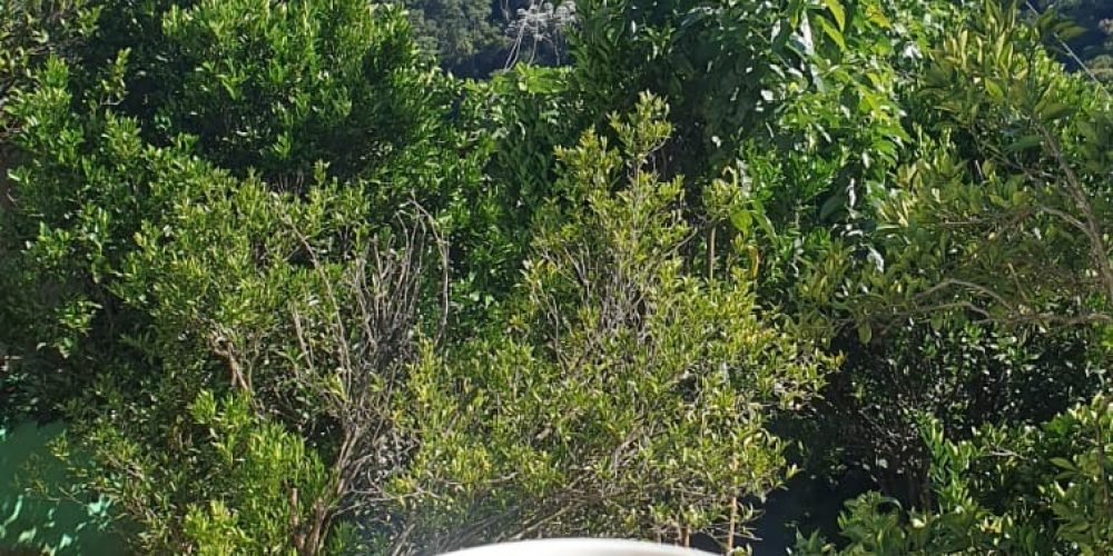 b31dd717-ff9a-4e6c-bfa7-050295757bb9