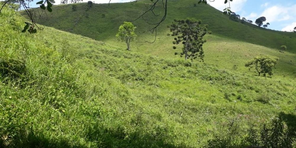 b333c9ac-cf54-43fd-a27c-46d425ca78a9