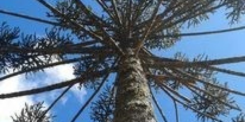 b4c0037a-ec1d-4ef3-b6e5-8f8106257741