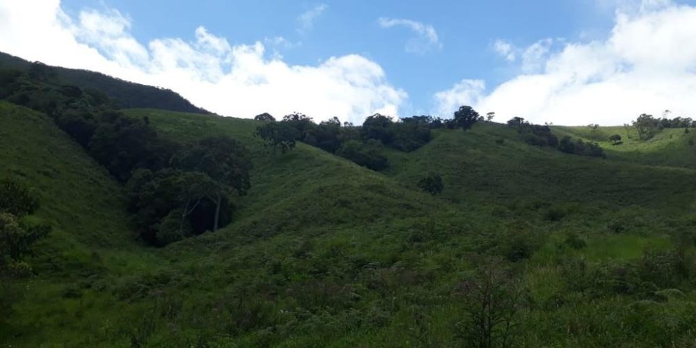 b81f3a41-ec0b-4982-9acd-91d83e50e48b