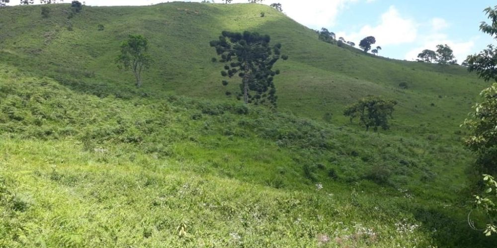 b9843031-3e58-4401-b310-3084de4ac335