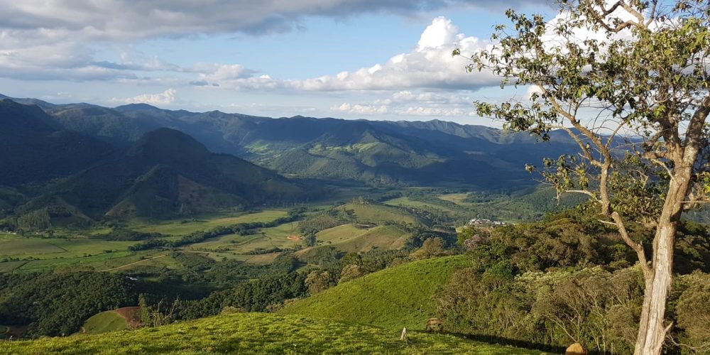 bab4c1f7-075d-4660-ba5b-d57c892488f8