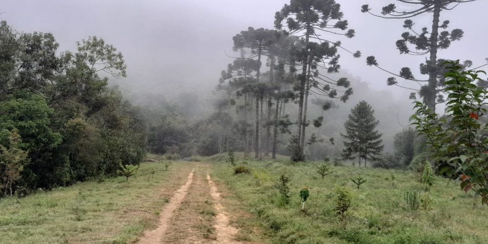 bd8d8979-f99e-4469-9e70-d8672f40c967