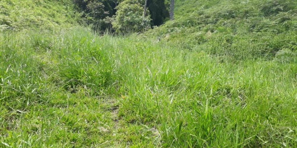 bdaf61a9-2bbc-478d-addc-547f771a8c52