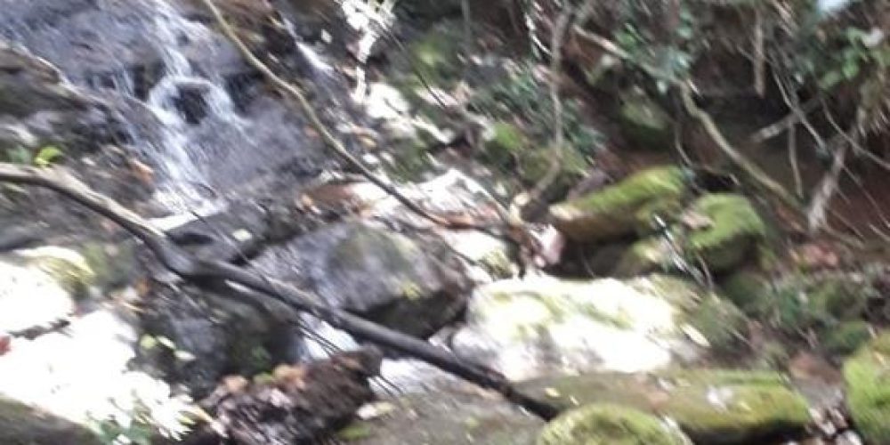 c0c5bbad-b9af-4666-93ee-da68a1a19cb0