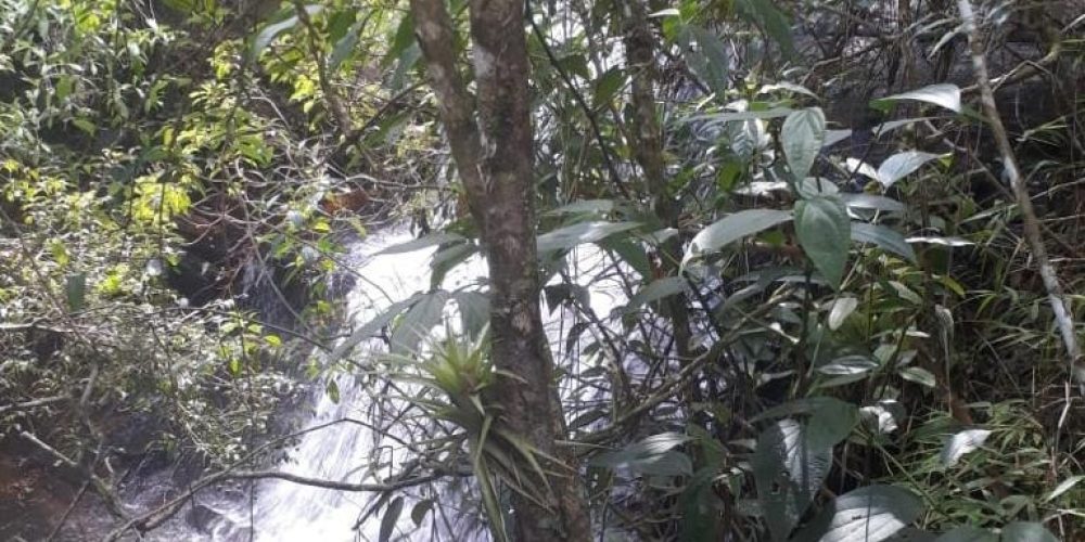 c0ca9458-58cb-4838-8587-a2bd31c6ed42