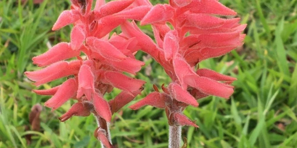 c18fdd84-35a6-4826-aa09-bc33cb6a52ec