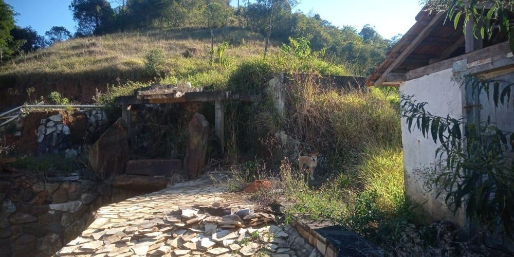 c55faa28-532d-426b-86fc-ffbd5eca0f7a