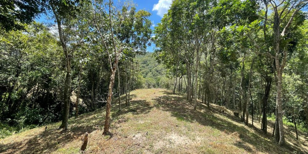 cac7b6f3-12a8-4c87-8284-74d3f2ed5620