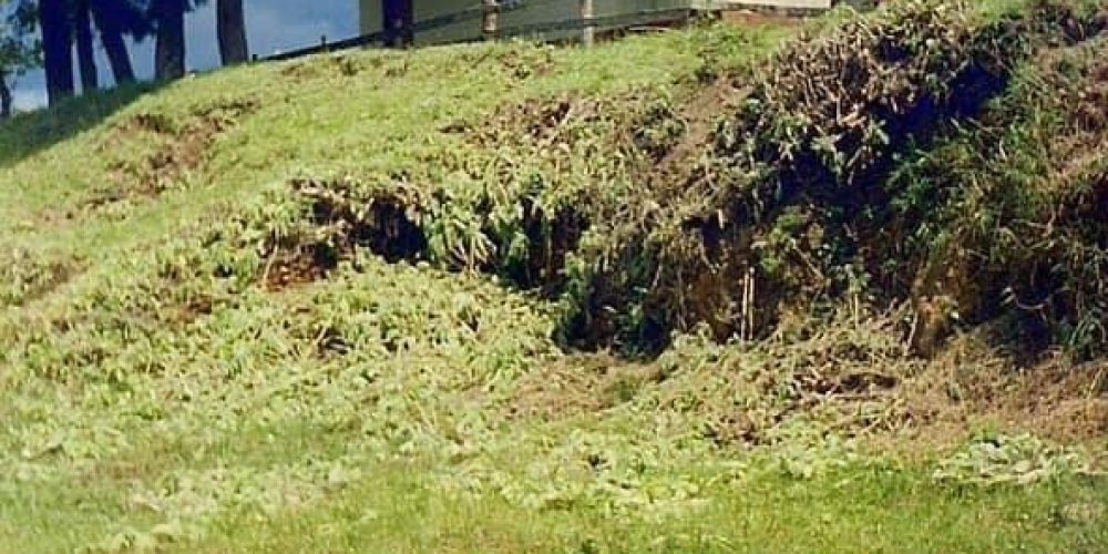 cbee4813-6008-4df3-9854-e25ddb8b4a00