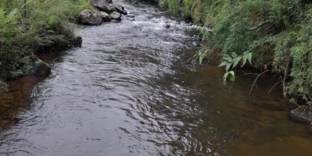 cd576eda-0f4d-4c5d-9d65-b2f4366971e6