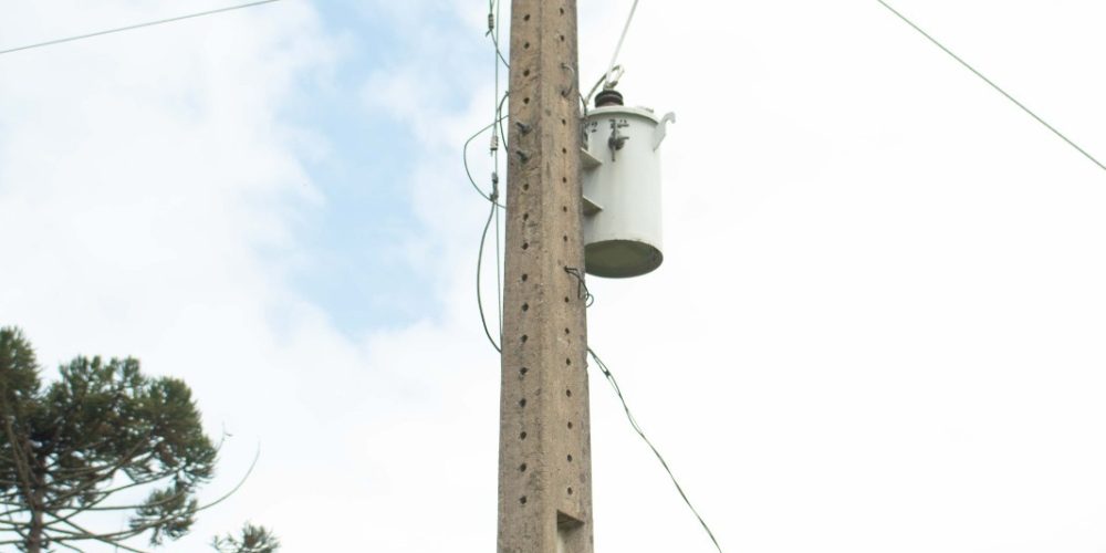 cd81ca28-6841-4344-8a98-8caca71dbe5c