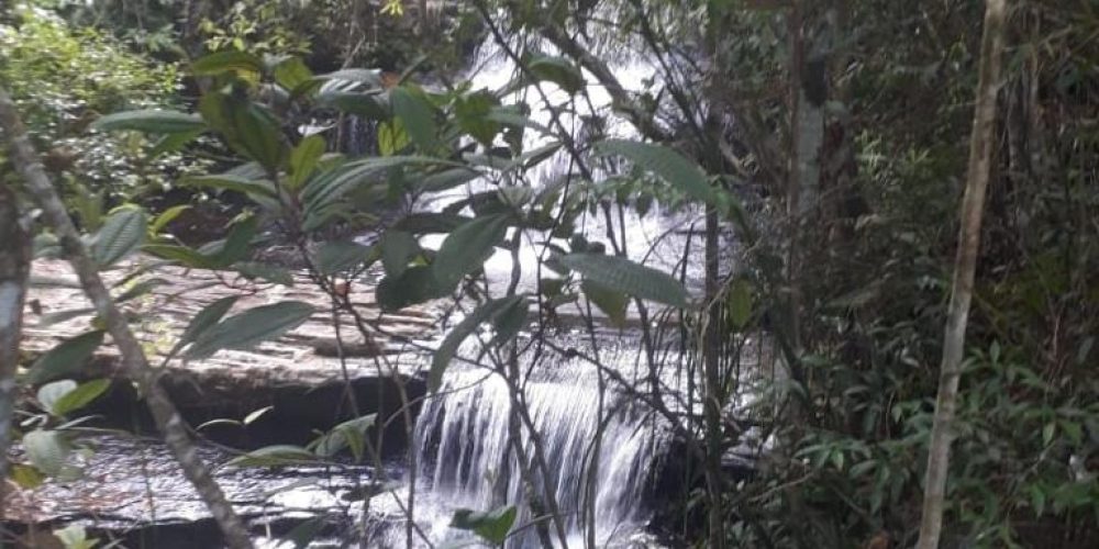 cefd3db3-ca95-4f39-aa3d-75765194ed5c