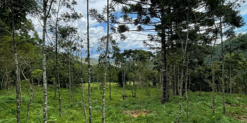 d11fcfe7-13f5-4ac6-a9dc-25a0bea78b48