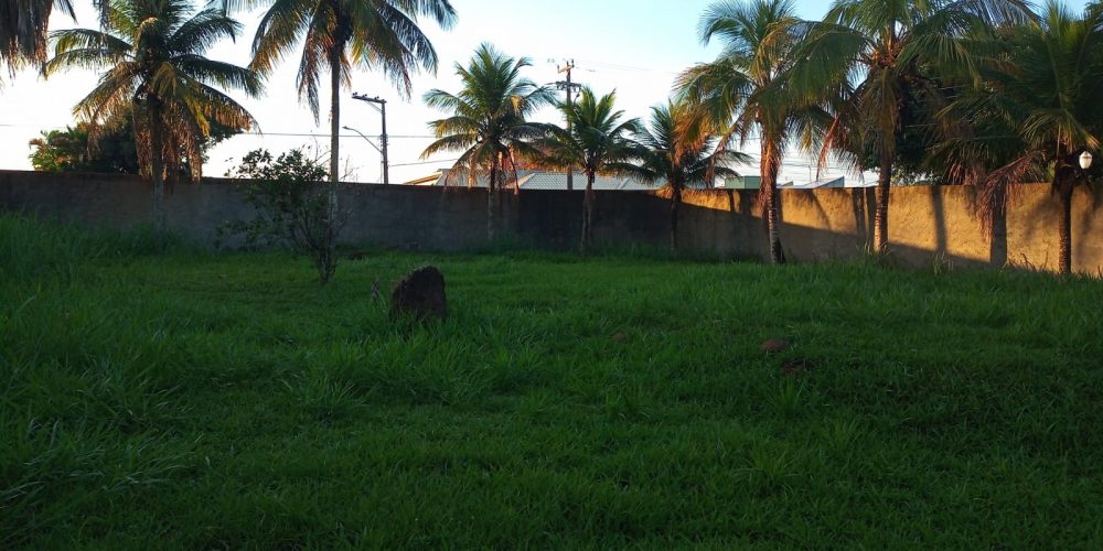 d1399f85-e0ef-4a5f-a424-f11755068f43