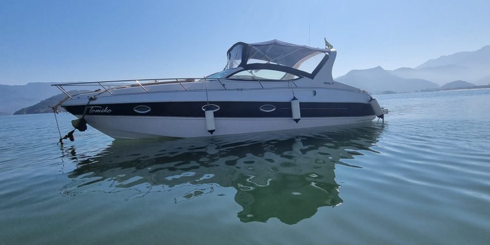 d49c0a3b-8edd-4dfb-a0a0-8cd73ed775ed