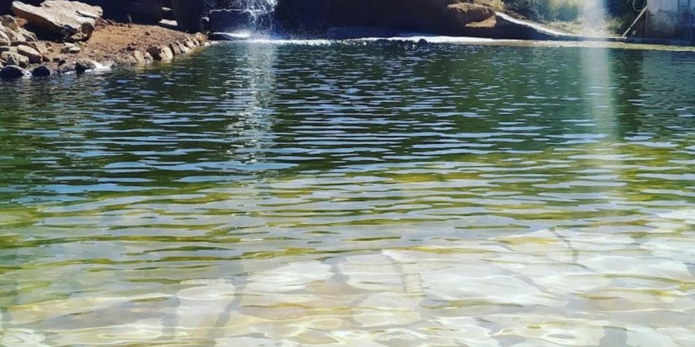 d528231e-ec67-4a33-ae40-199fbcd41f15