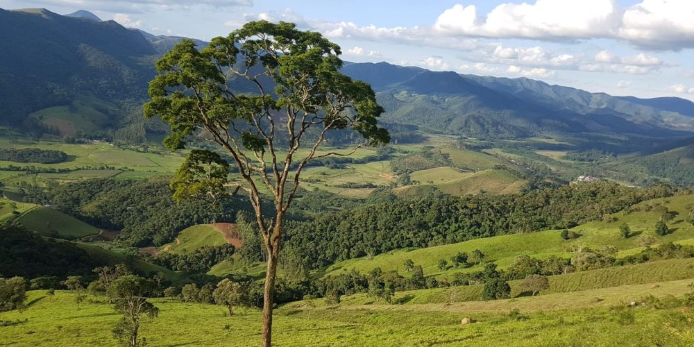 d61365ef-7e6e-47a5-a9d2-cf73e72af25e