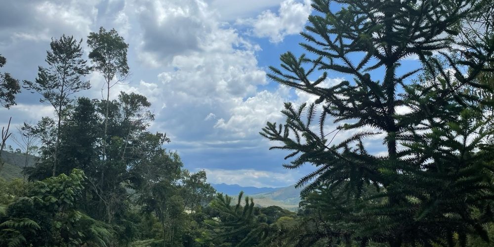 d69c6a55-6a3a-415d-8ede-85ef40f6c583