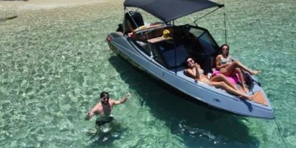 d7337861-7888-4e5e-9460-ec30244773ca