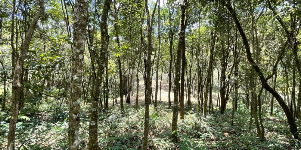 dd95b385-3db6-4992-8240-e2466b745118