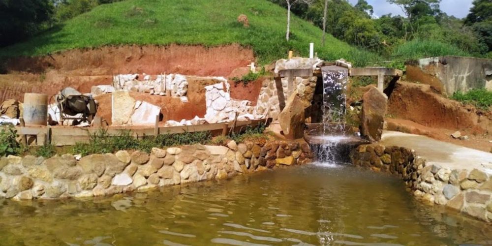 e25a06e2-e818-4f02-bd76-5c09a32802e5