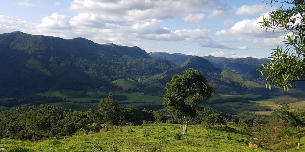 e6774464-4177-45e9-8592-9f3fff519189