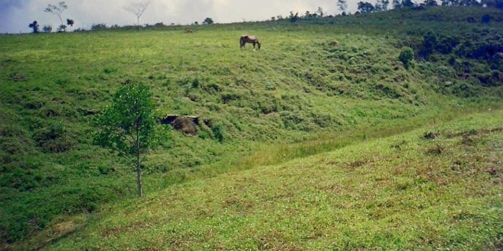 e8c73ede-cf35-4ecf-9448-c9a3e4140500